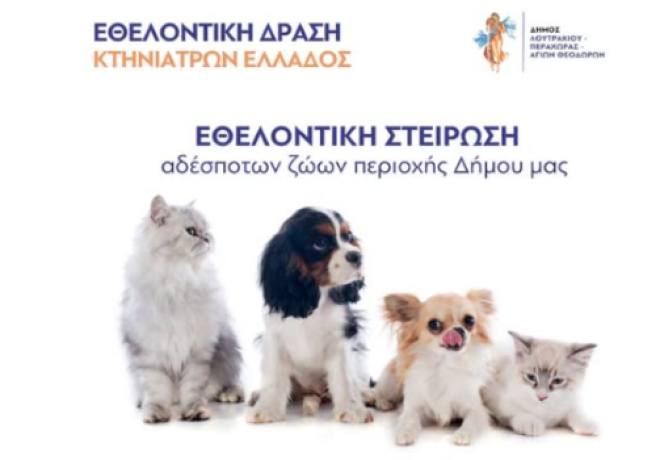 Δήμος Λουτρακίου – Περαχώρας – Αγίων Θεοδώρων: 9η Εθελοντική Δράση Κτηνιάτρων Ελλάδος για τη Στείρωση Αδέσποτων Ζώων